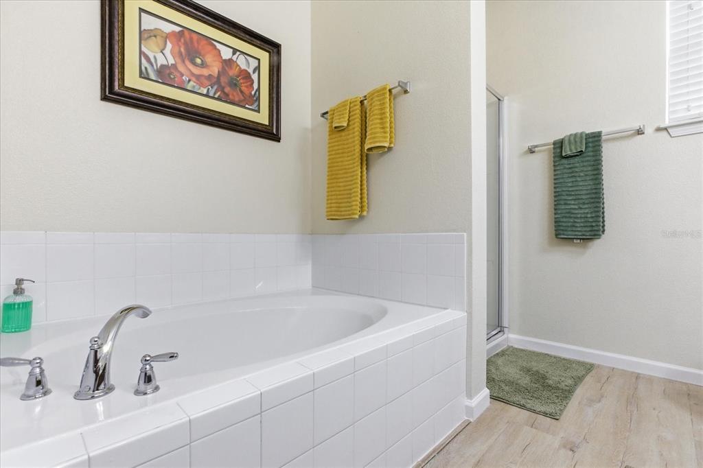 20900 Oldenburg Loop Mount Dora, FL 32757 - Photo 22 of 44 a bathroom with a bathtub and a sink