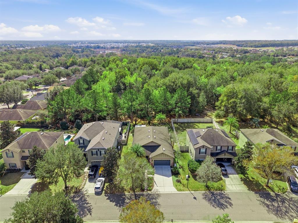 20900 Oldenburg Loop Mount Dora, FL 32757 - Photo 39 of 44 an aerial view of multiple house