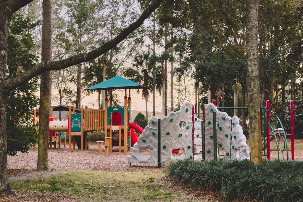 20900 Oldenburg Loop Mount Dora, FL 32757 - Photo 40 of 44 a view of outdoor space with seating area and trees