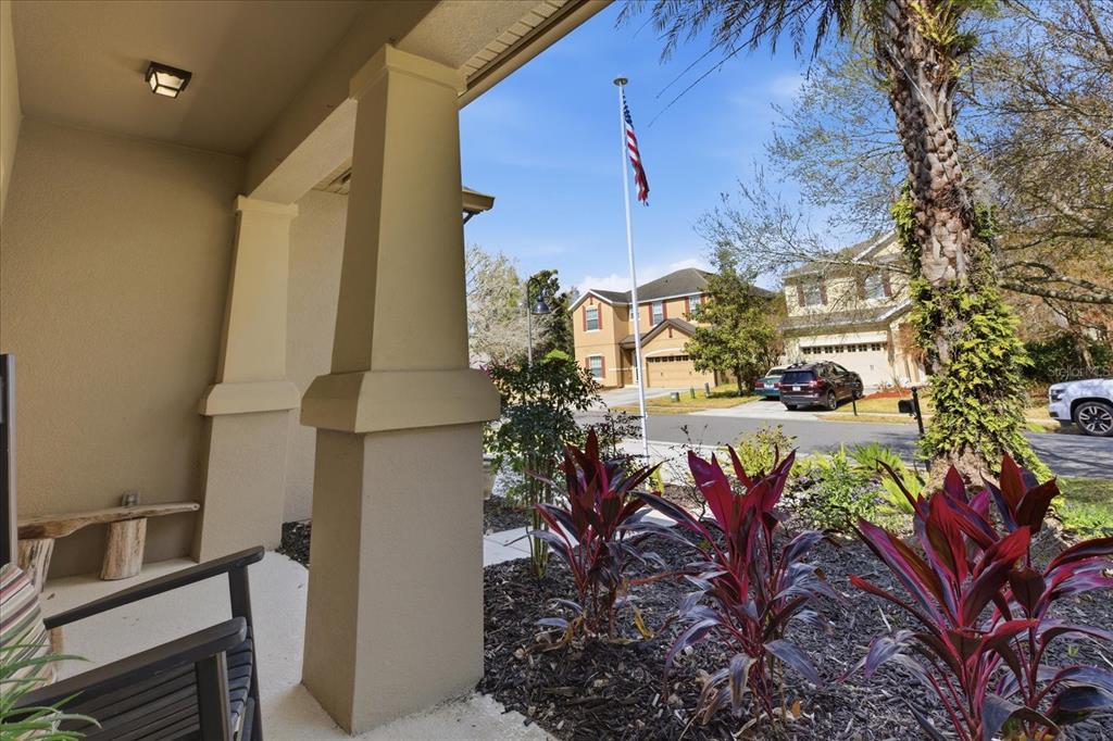 20900 Oldenburg Loop Mount Dora, FL 32757 - Photo 5 of 44 a vase of flowers sitting on a floor