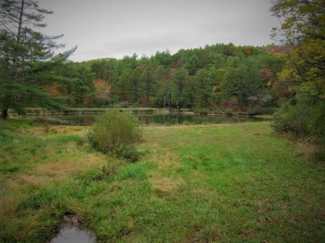 88 Whipperwill Hill Road Gap Mills, WV 24941 - Photo 50 of 68 Gallery Image 50
