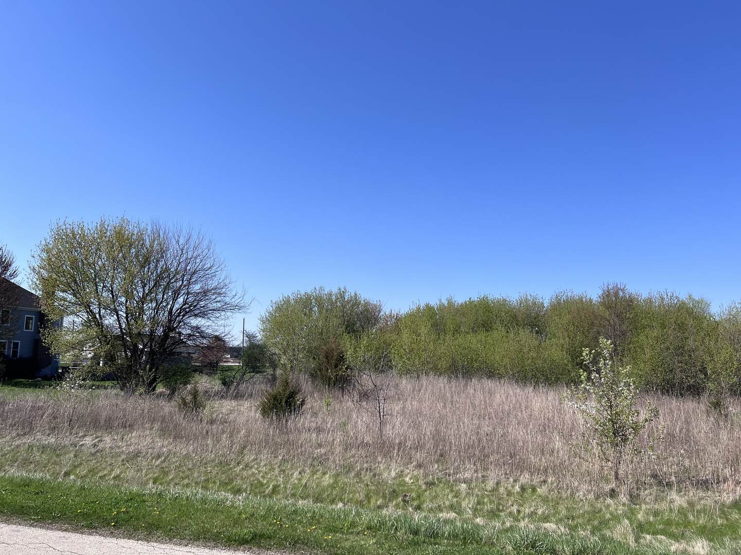 15510 Botterman Road Huntley, IL 60142 - Photo 3 of 9 Gallery Image 3