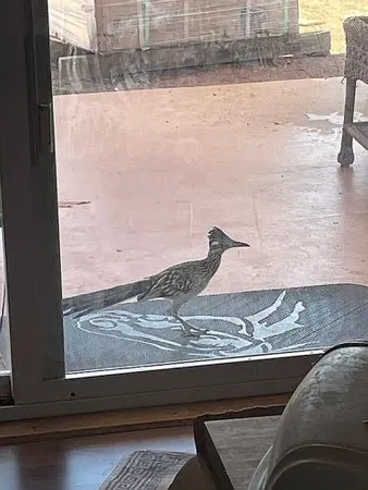 $350,000 | 11536 East Greasewood Trail, Kingman, AZ 86401