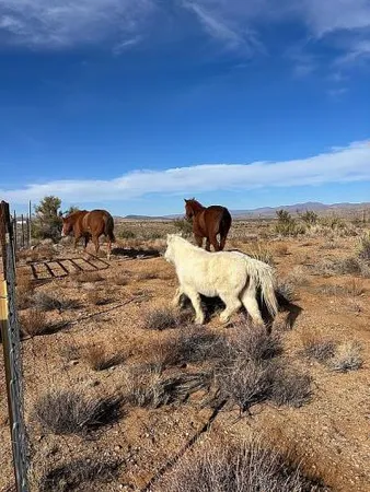 $350,000 | 11536 East Greasewood Trail, Kingman, AZ 86401