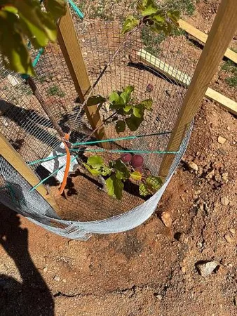 $350,000 | 11536 East Greasewood Trail, Kingman, AZ 86401