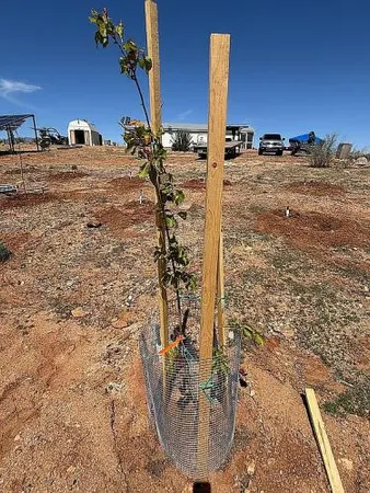 $350,000 | 11536 East Greasewood Trail, Kingman, AZ 86401