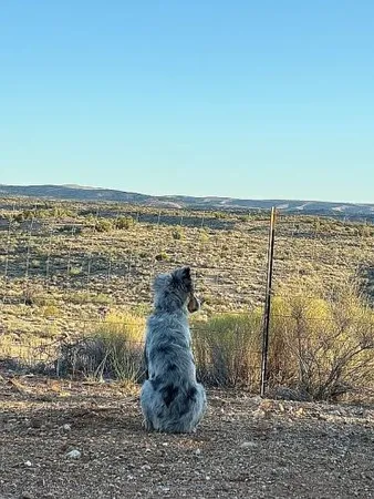 $350,000 | 11536 East Greasewood Trail, Kingman, AZ 86401