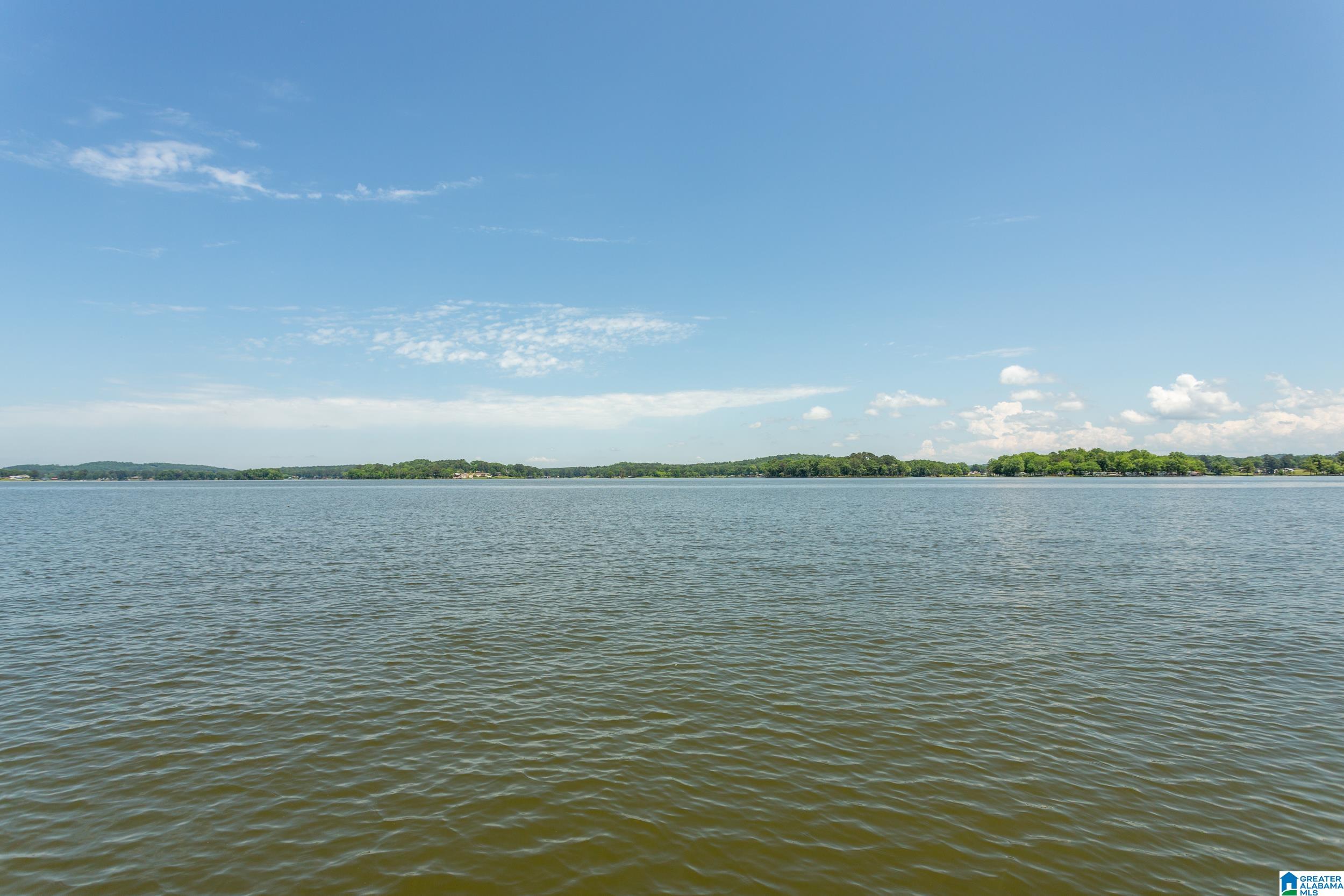 3516 Griffitt Bend Road Talladega, AL 35160 - Photo 34 of 44