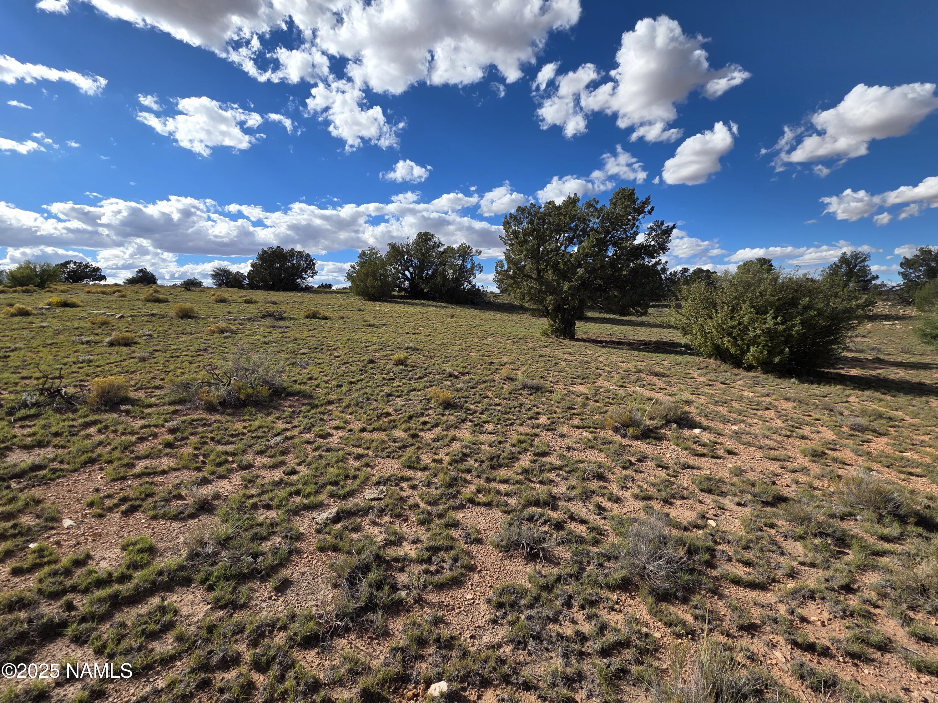 6154 Fire Sky Trail Williams, AZ 86046 - Photo 1 of 10 a view of a big yard with lots of bushes