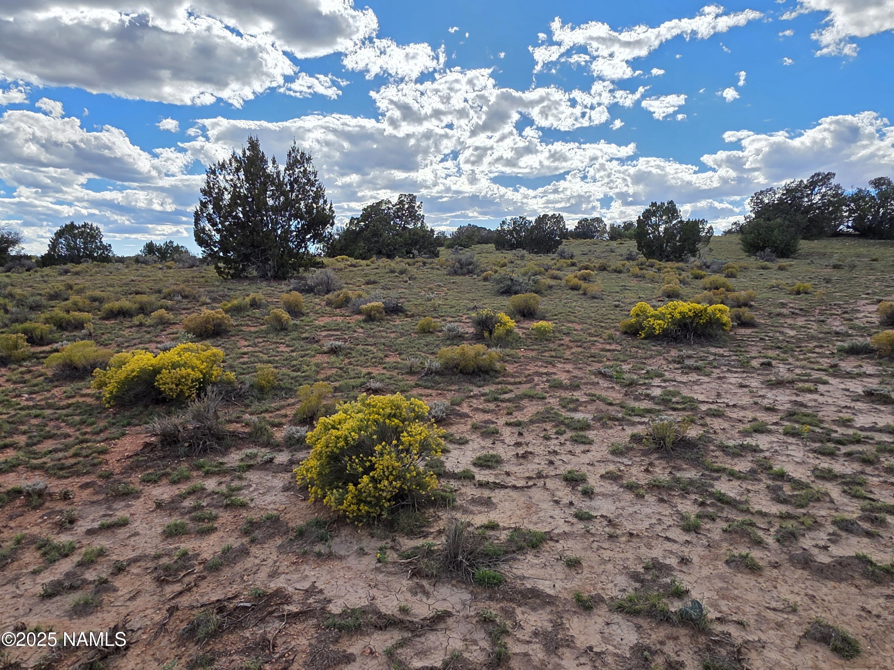 6154 Fire Sky Trail Williams, AZ 86046 - Photo 3 of 10 a view of a yard with wooden fence