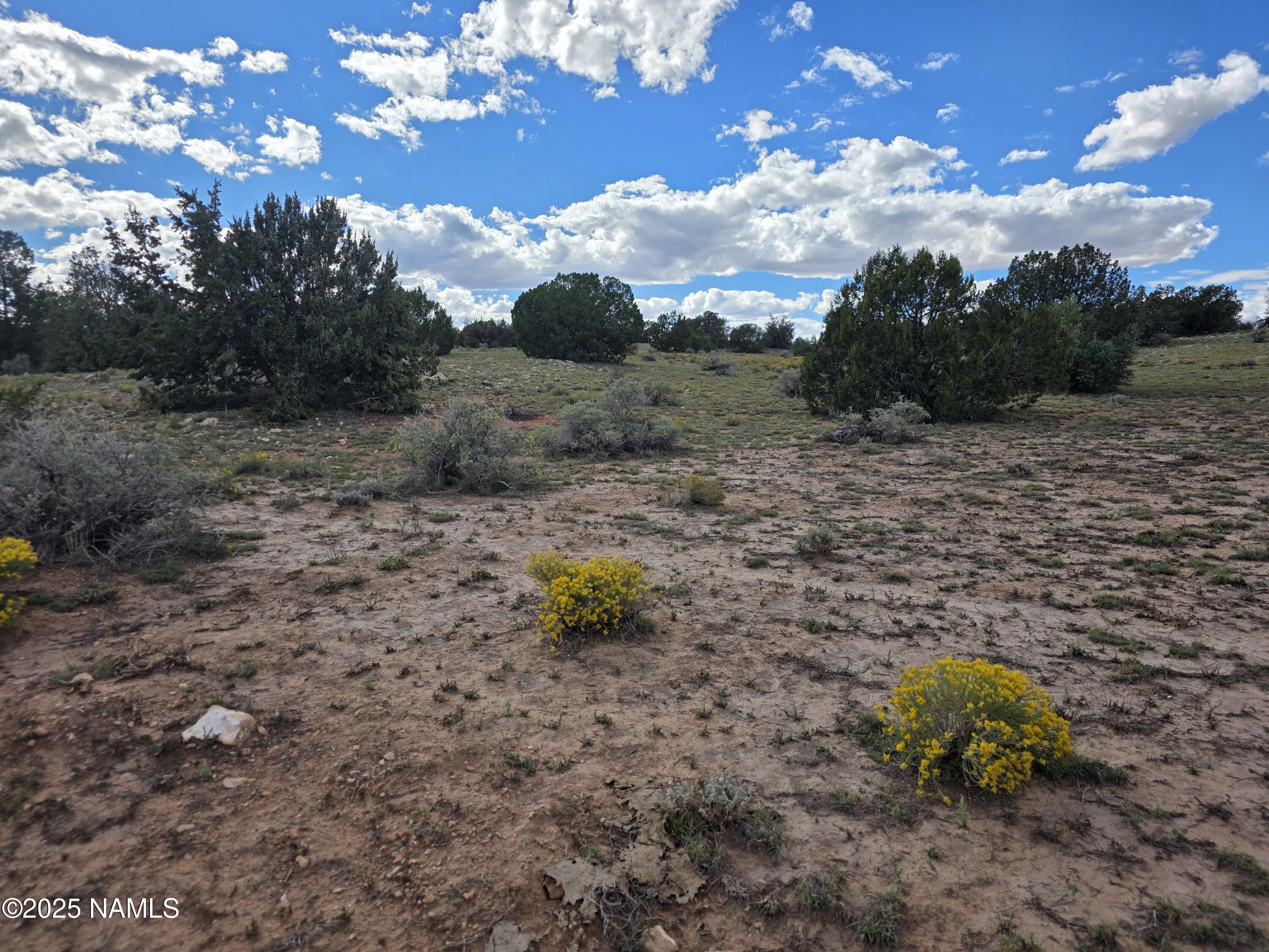 6154 Fire Sky Trail Williams, AZ 86046 - Photo 5 of 10 a view of a backyard