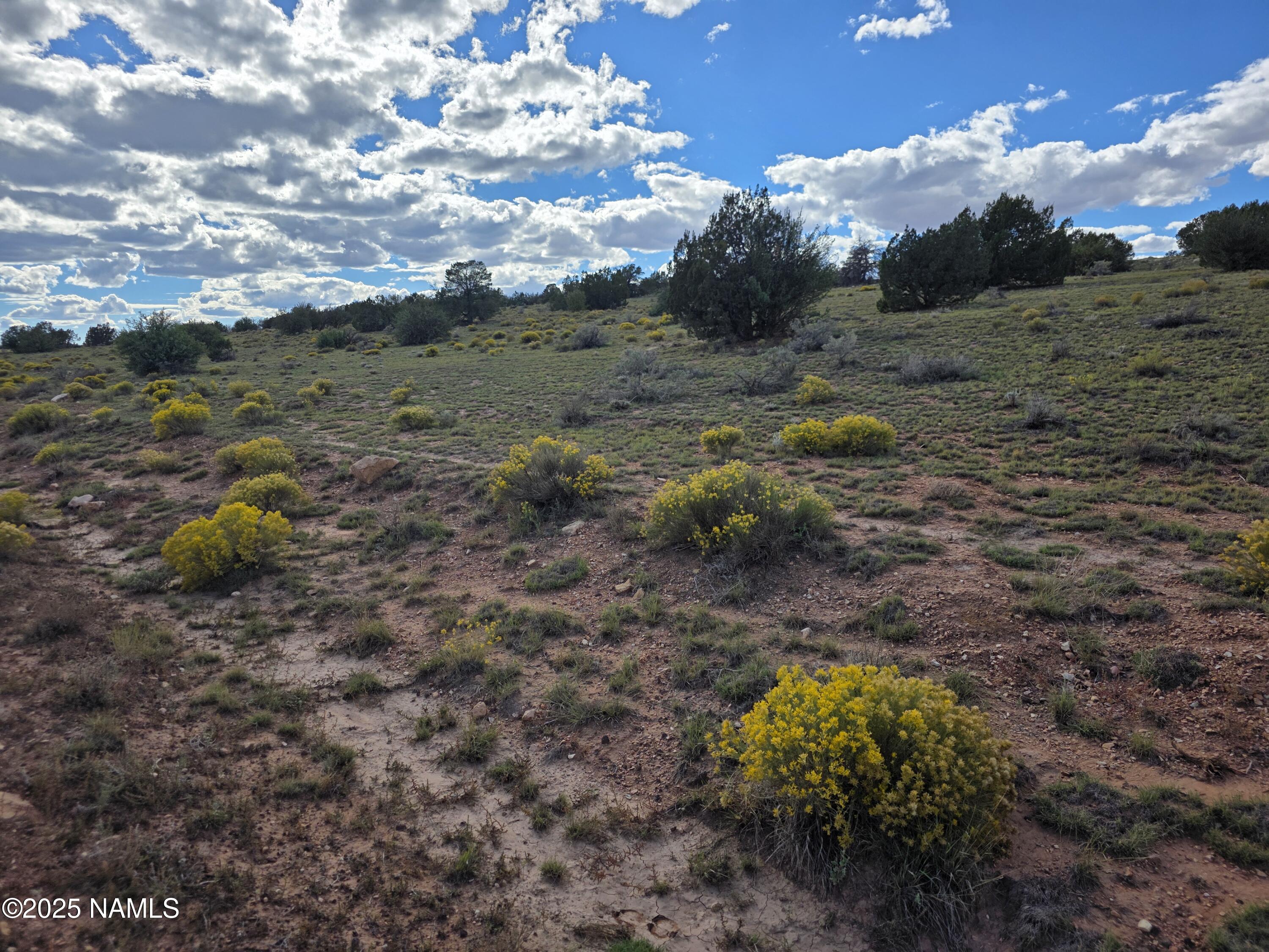6154 Fire Sky Trail Williams, AZ 86046 - Photo 7 of 10 a backyard of a house with lots of green space