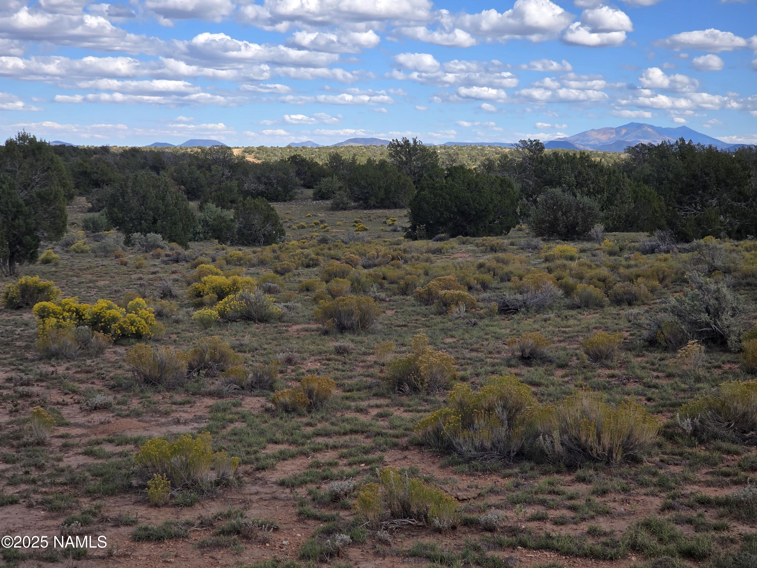 6154 Fire Sky Trail Williams, AZ 86046 - Photo 10 of 10 a view of a yard with green space