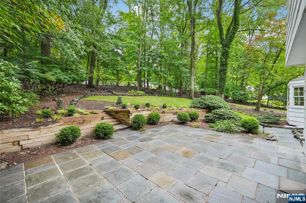 a view of a garden with an outdoor space