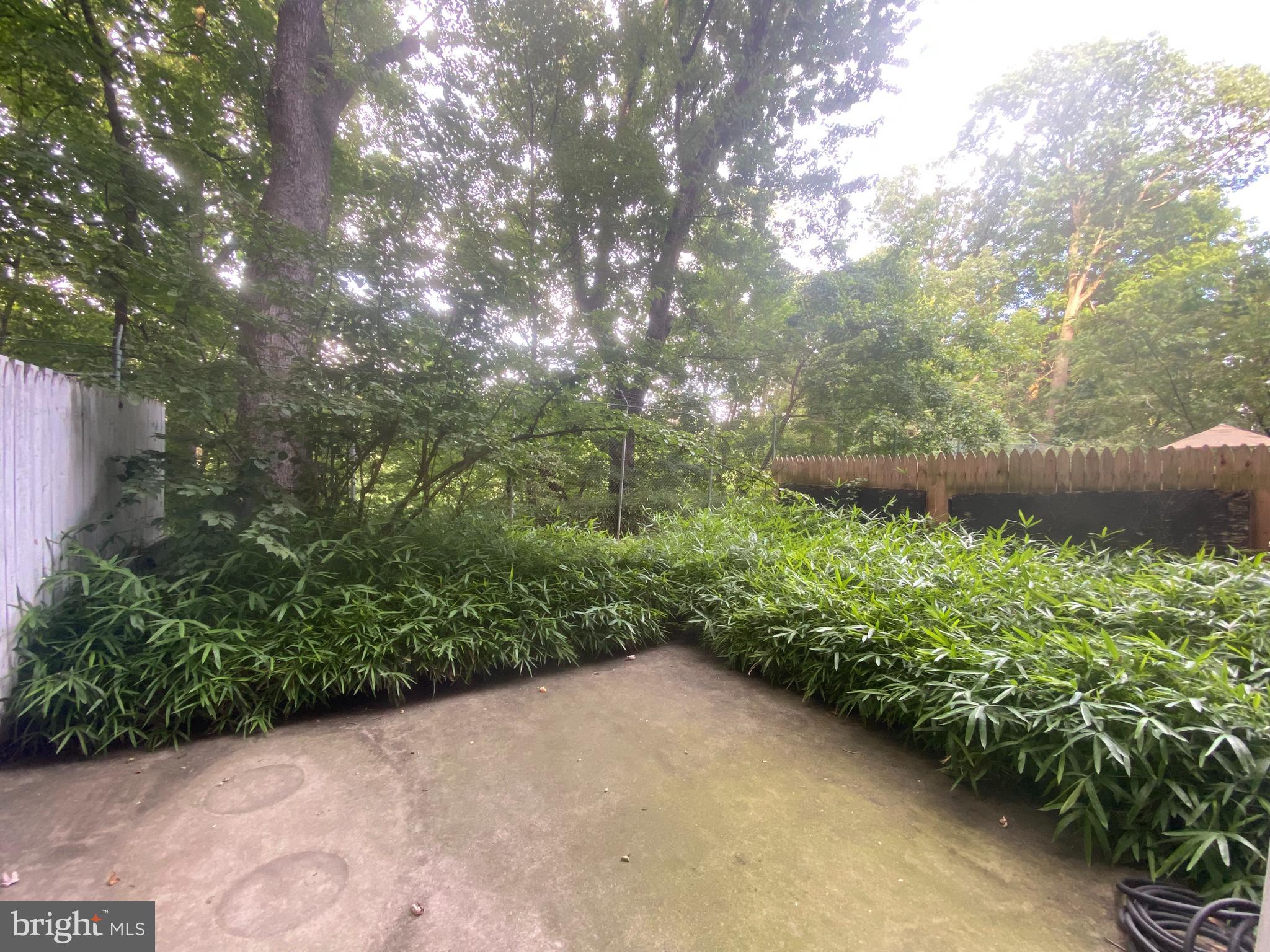 Amazing outdoor patio and green space