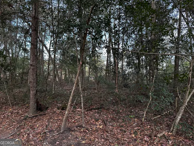 a backyard of a house with lots of trees