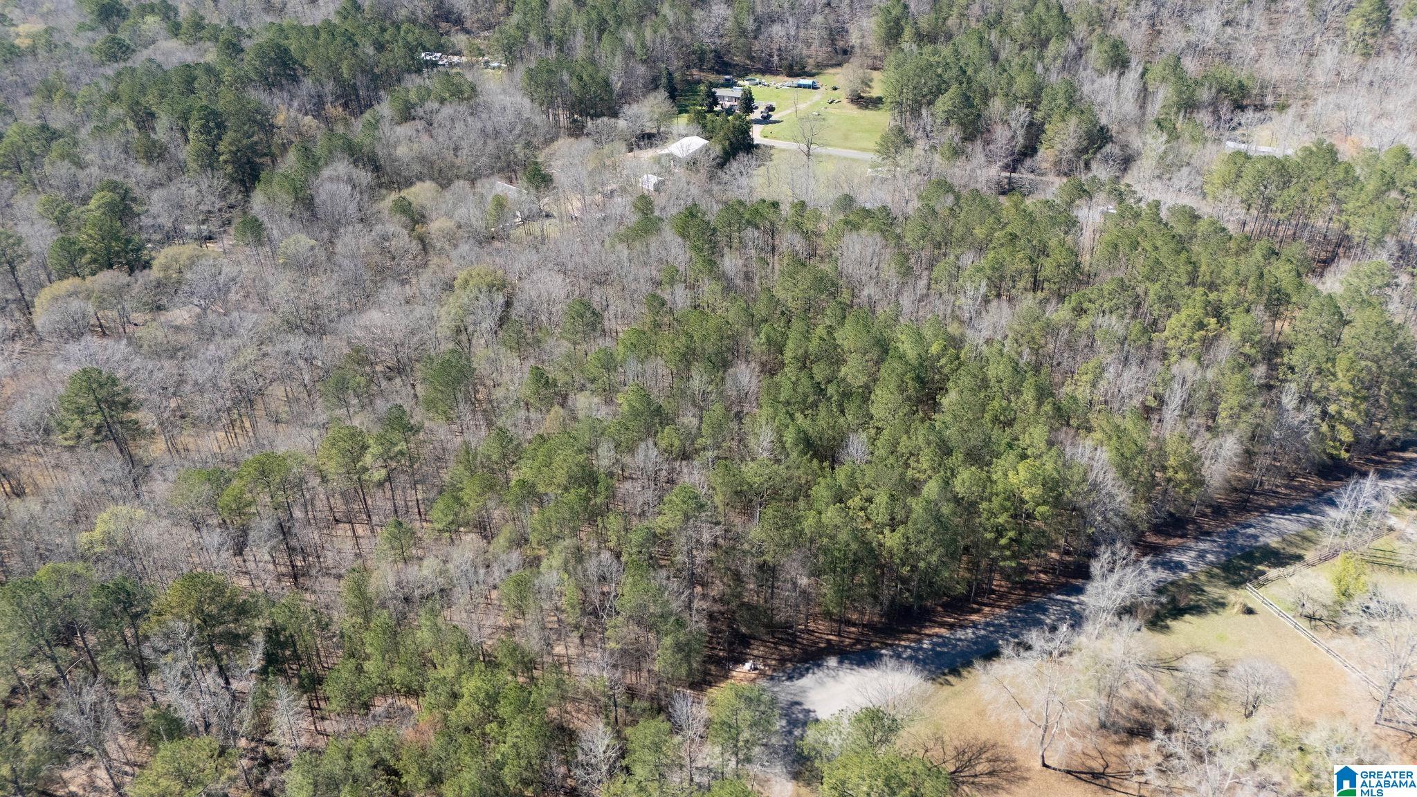 29 North Northview Circle, Unit 29 Northport, AL 35475 - Photo 3 of 16