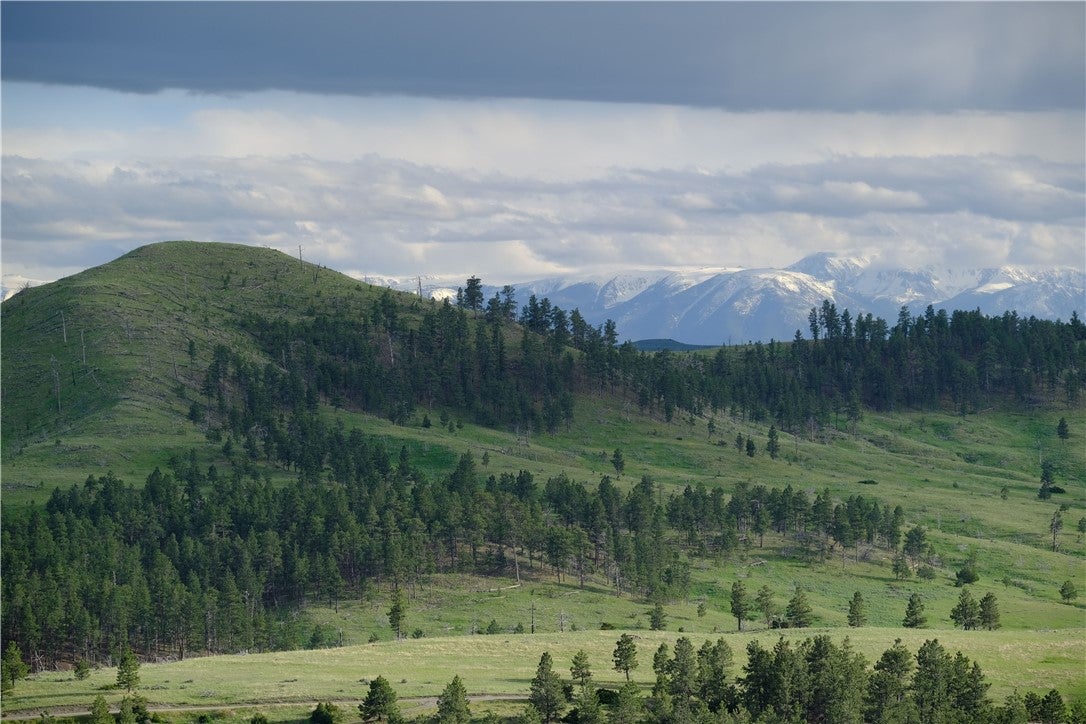 143 Owl Canyon Road Reed Point, MT 59069 - Photo 20 of 32 Gallery Image 20