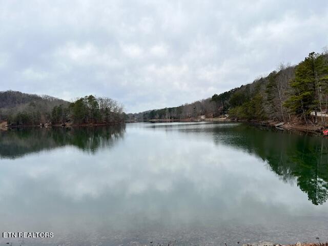 Laurel Mountain Road Madisonville, TN 37354 - Photo 13 of 15 IMG_6500