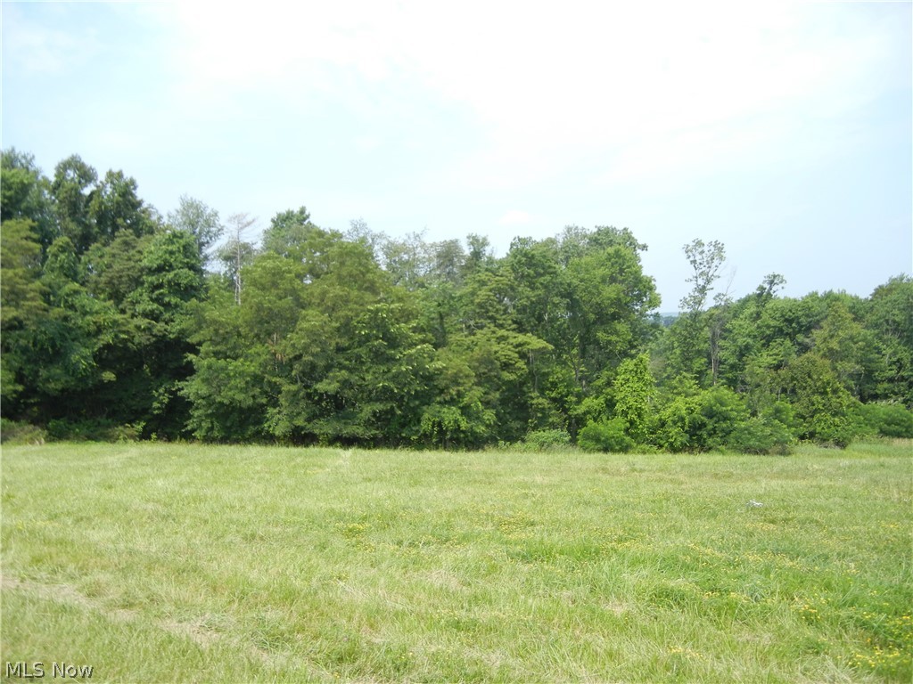 Mt Pleasant Road Dover, OH 44622 - Photo 5 of 23 Gallery Image 5