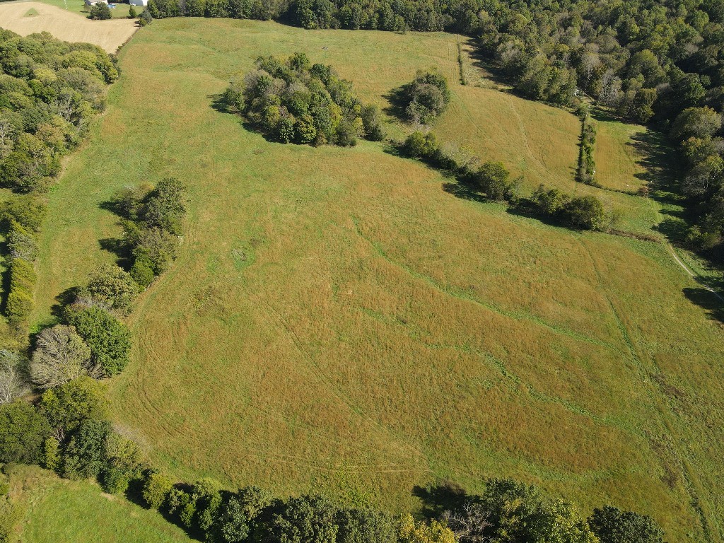3845 Empson Road White House, TN 37188 - Photo 7 of 8 a view of a yard