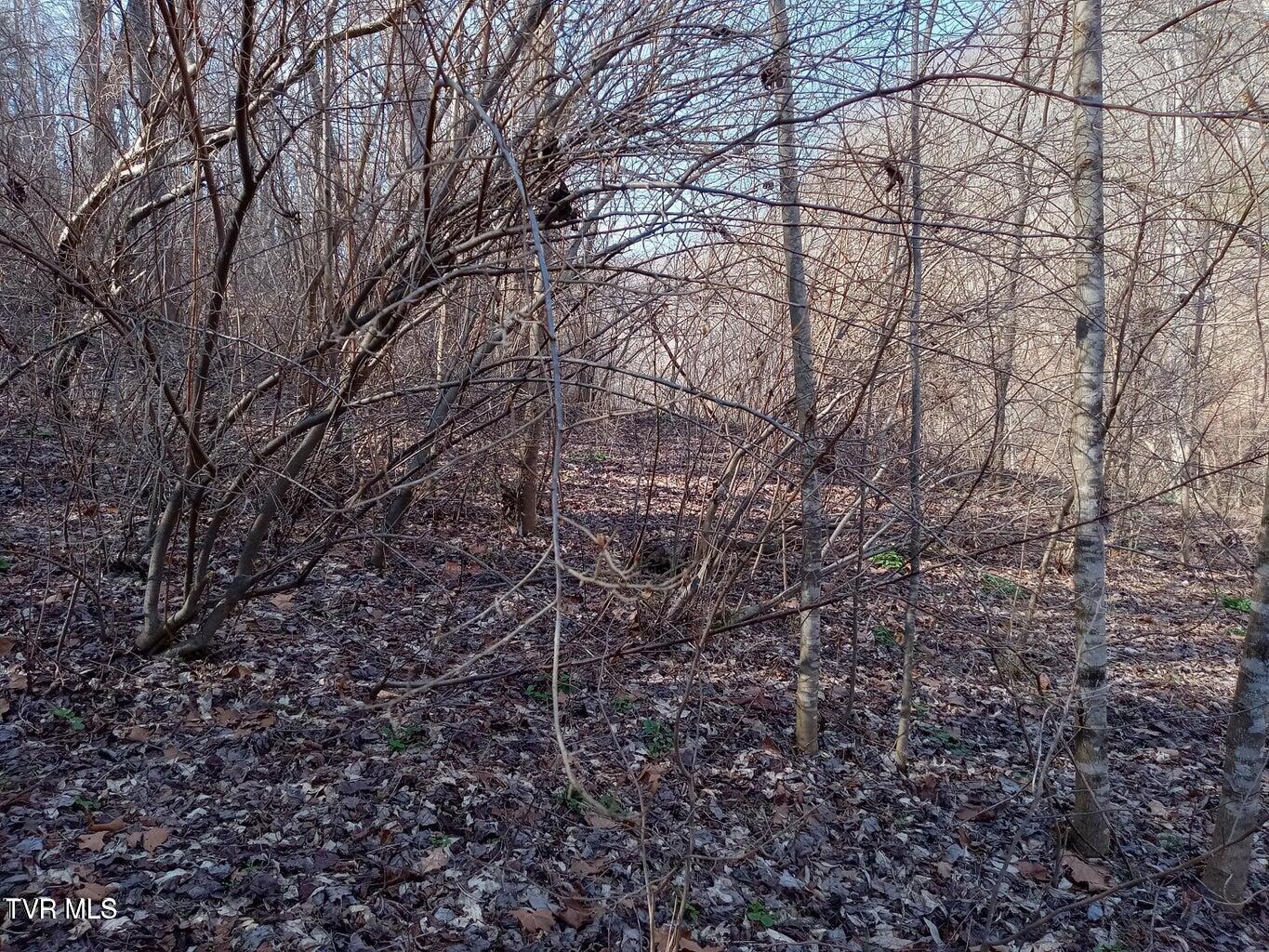 Tbd Toole Creek Road Abingdon, VA 24210 - Photo 12 of 25 *