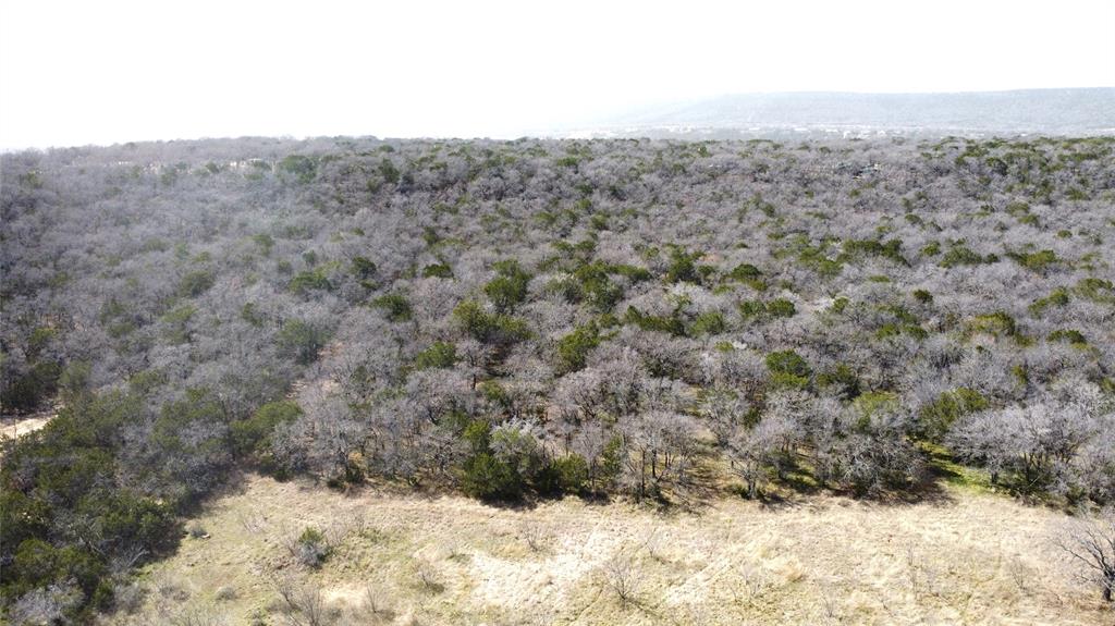 7789 White Tail Ridge Gordon, TX 76453 - Photo 16 of 34 a view of a dry yard
