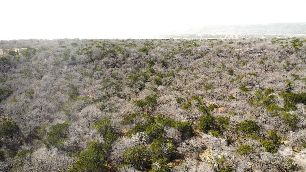 7789 White Tail Ridge Gordon, TX 76453 - Photo 17 of 34 a view of a forest with trees in the background