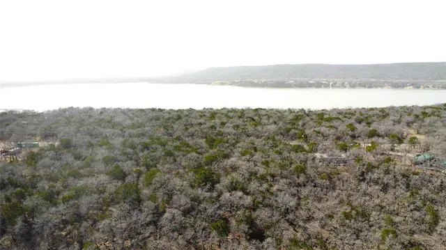 a view of a dry yard with trees