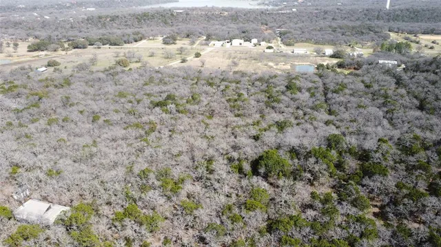 a view of a dry yard with trees