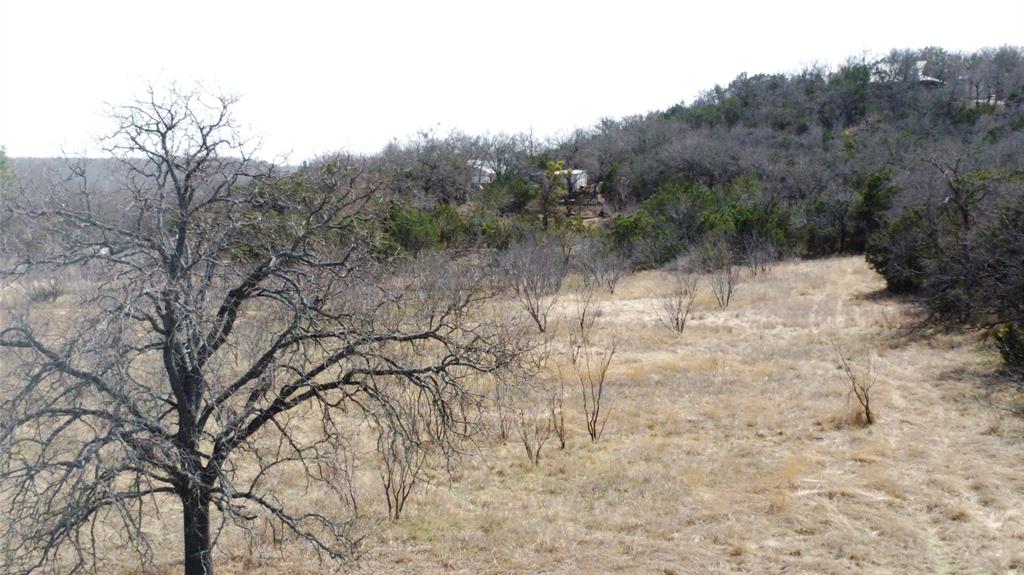 7789 White Tail Ridge Gordon, TX 76453 - Photo 34 of 34 a view of a yard with a tree