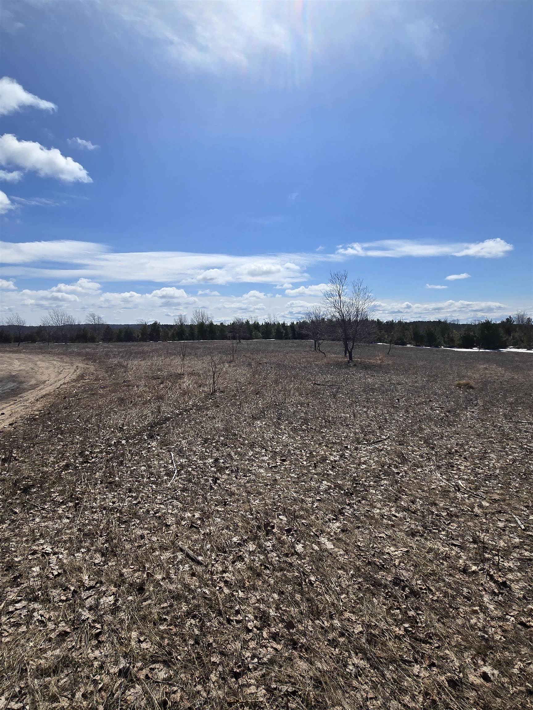 B Johnson Road, Unit LOT: B Mancelona, MI 49659 - Photo 14 of 48