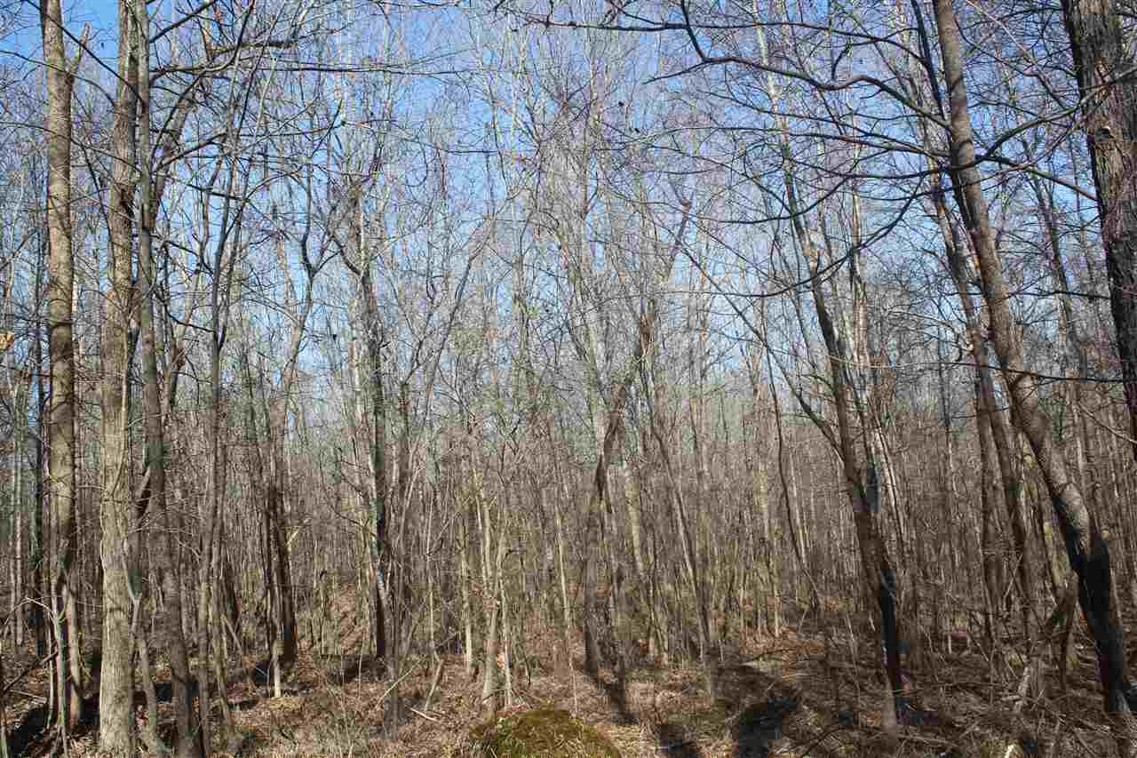 6014 Hernando Road Byhalia, MS 38611 - Photo 11 of 25 Gallery Image 11