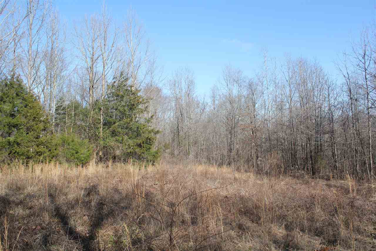 6014 Hernando Road Byhalia, MS 38611 - Photo 13 of 25 Gallery Image 13