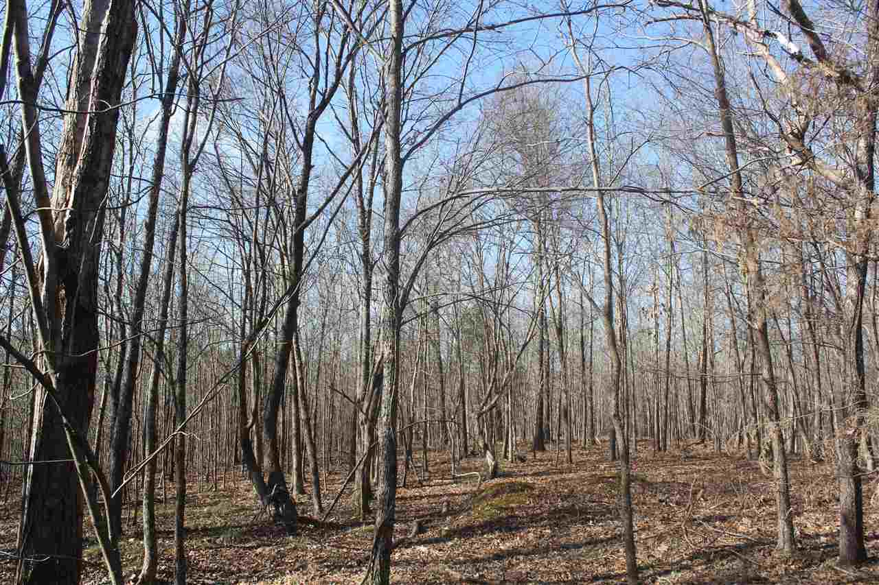 6014 Hernando Road Byhalia, MS 38611 - Photo 14 of 25 Gallery Image 14