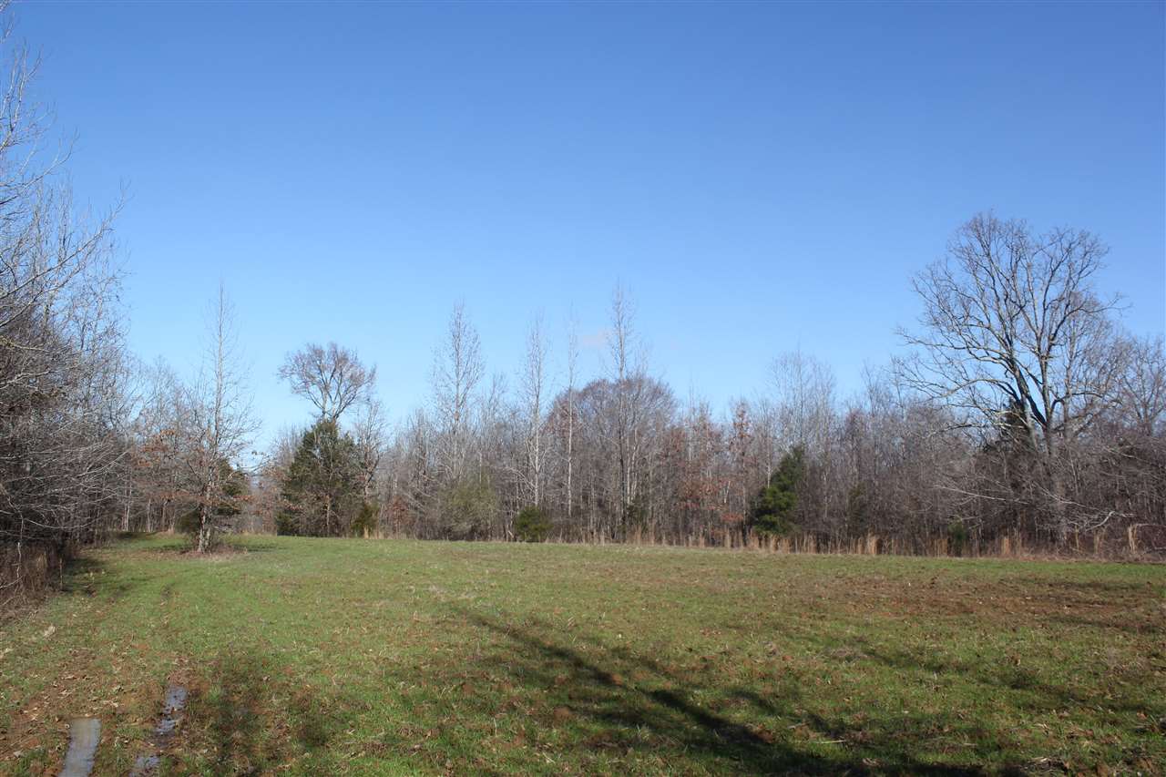 6014 Hernando Road Byhalia, MS 38611 - Photo 15 of 25 Gallery Image 15