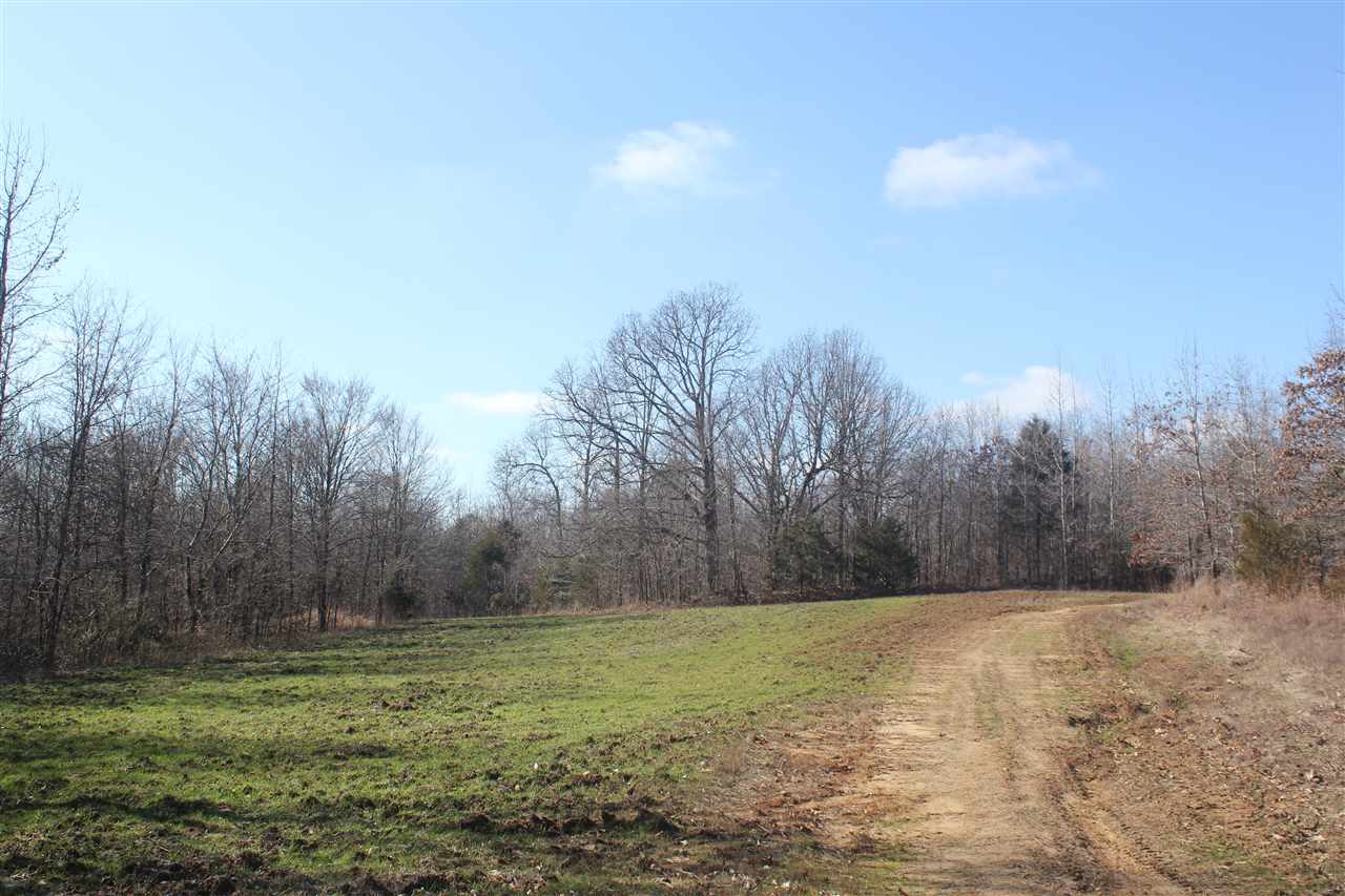 6014 Hernando Road Byhalia, MS 38611 - Photo 16 of 25 Gallery Image 16