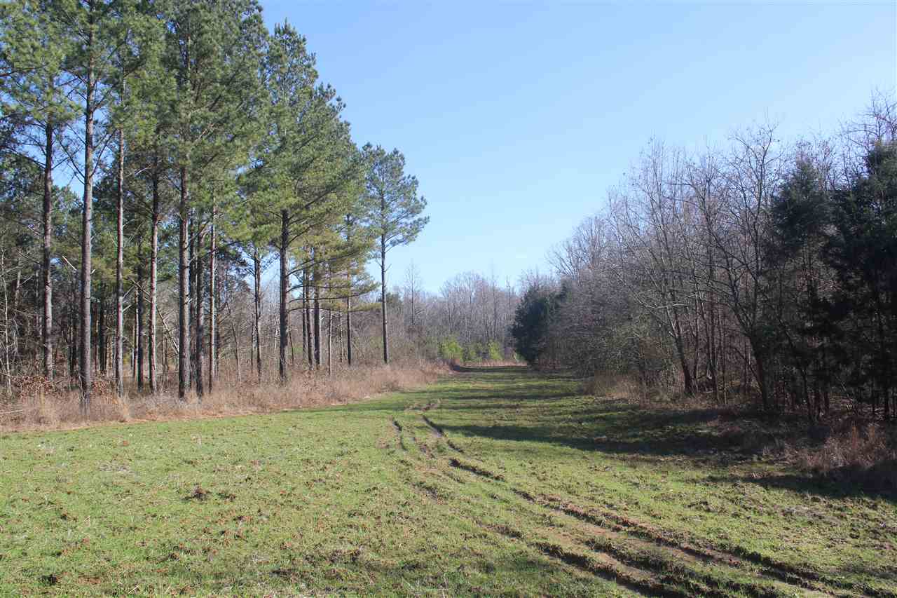6014 Hernando Road Byhalia, MS 38611 - Photo 17 of 25 Gallery Image 17