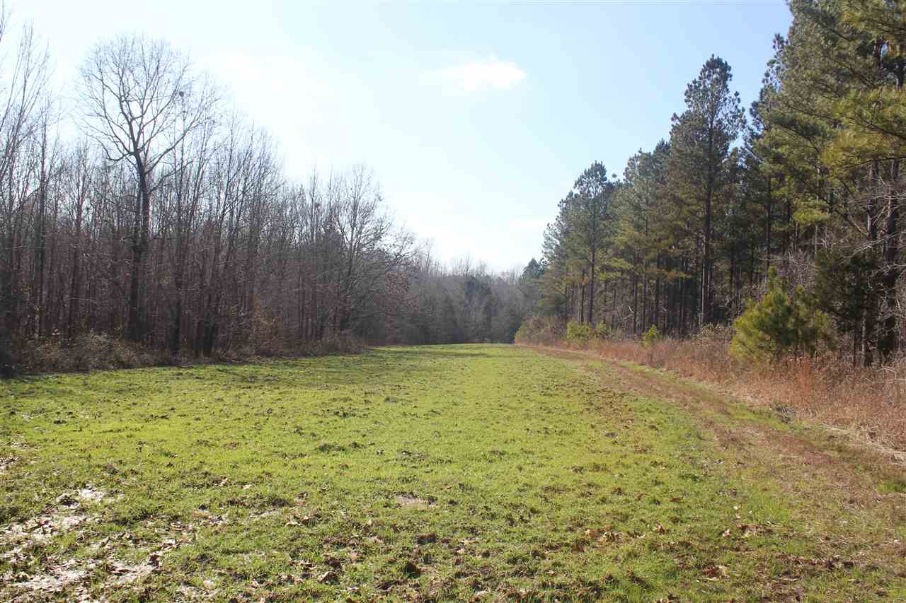 6014 Hernando Road Byhalia, MS 38611 - Photo 18 of 25 Gallery Image 18