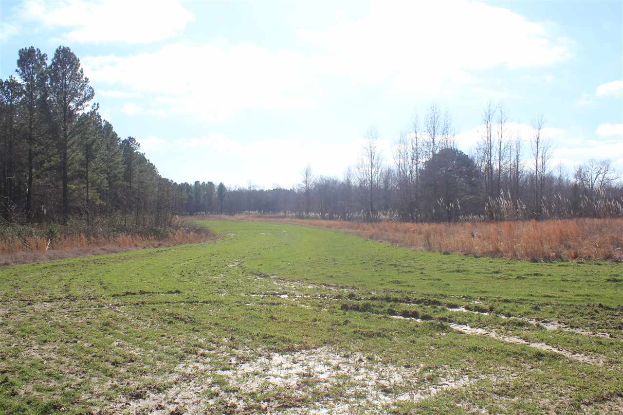 6014 Hernando Road Byhalia, MS 38611 - Photo 3 of 25 Gallery Image 3