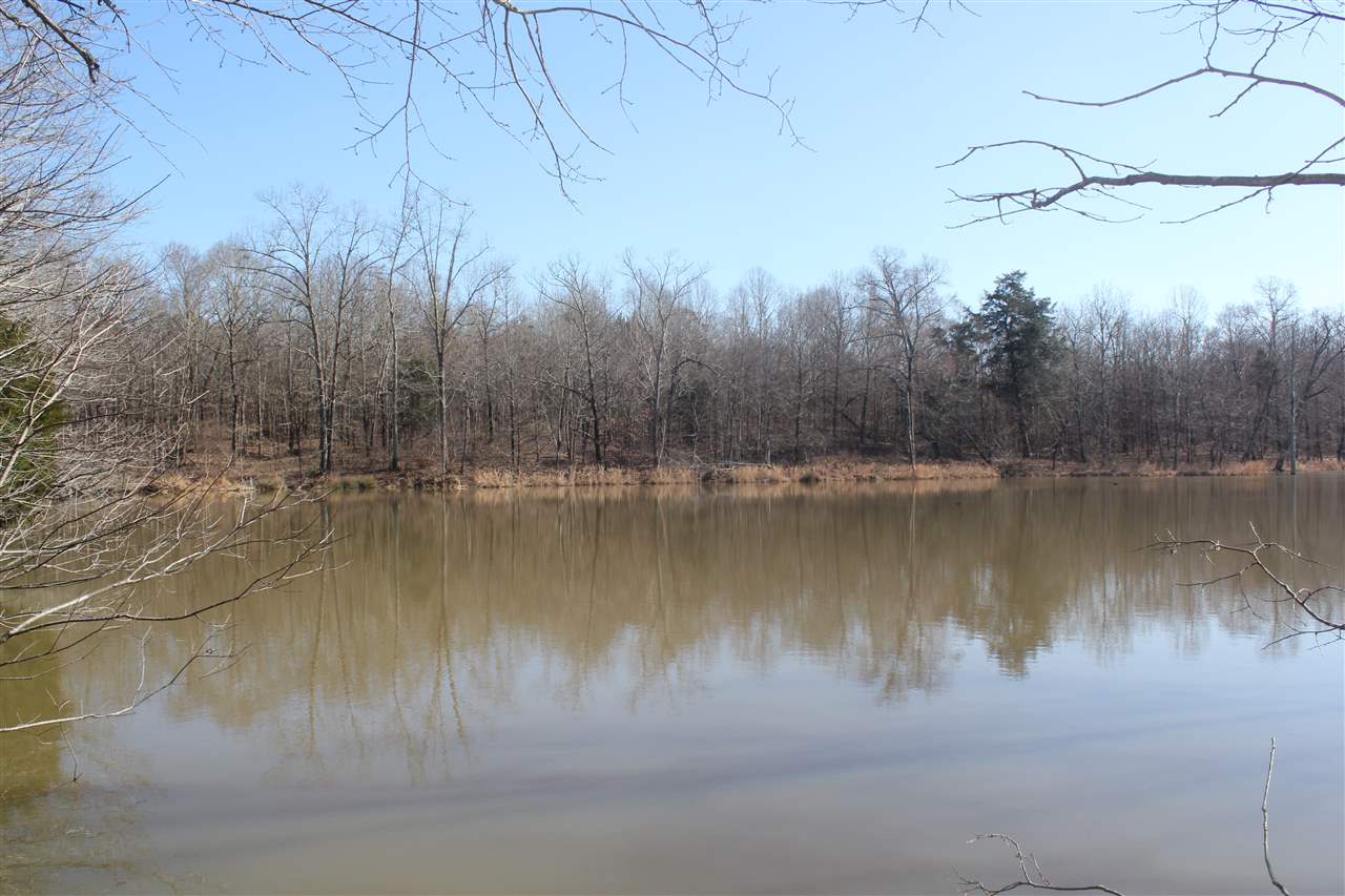 6014 Hernando Road Byhalia, MS 38611 - Photo 21 of 25 Gallery Image 21