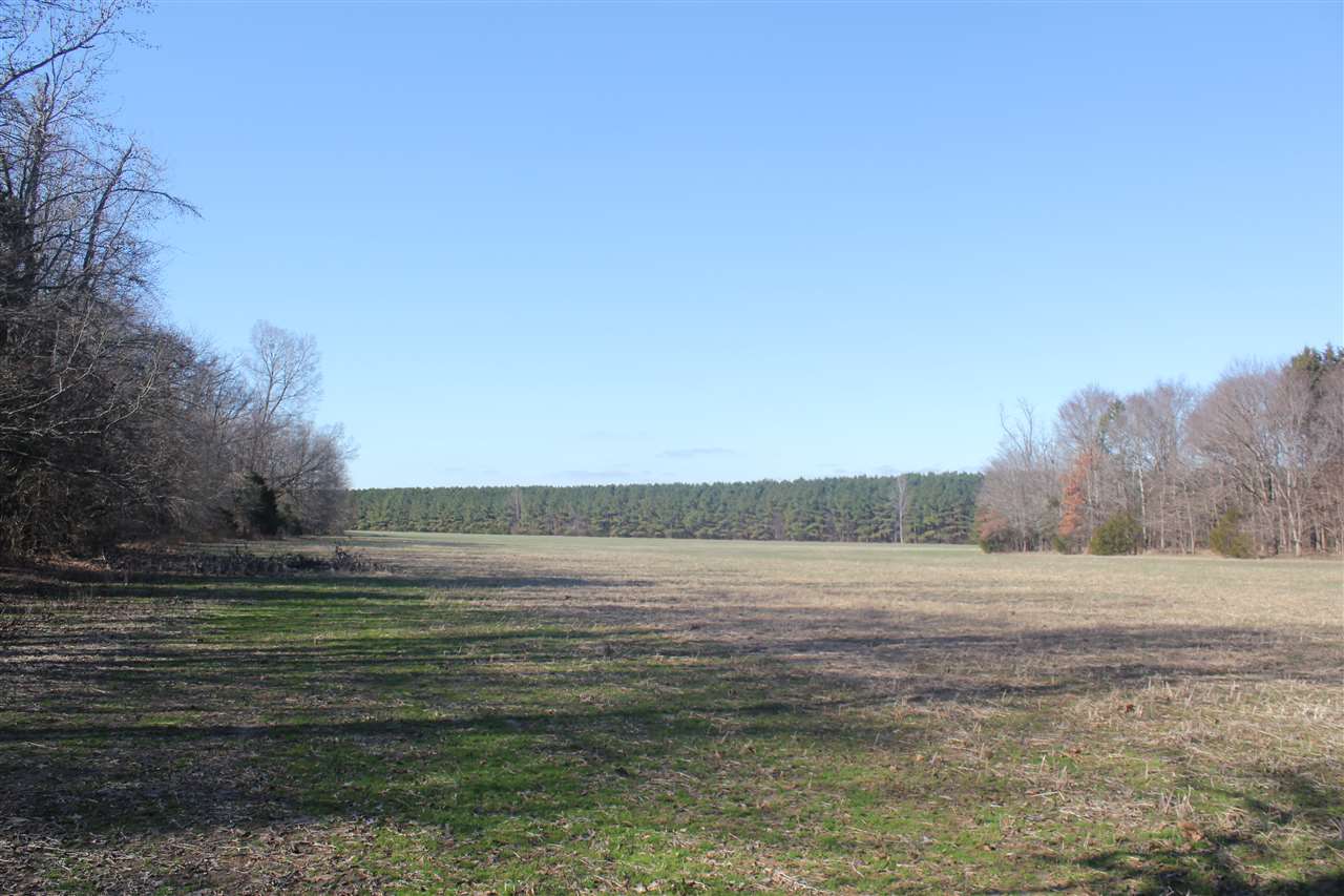6014 Hernando Road Byhalia, MS 38611 - Photo 22 of 25 Gallery Image 22