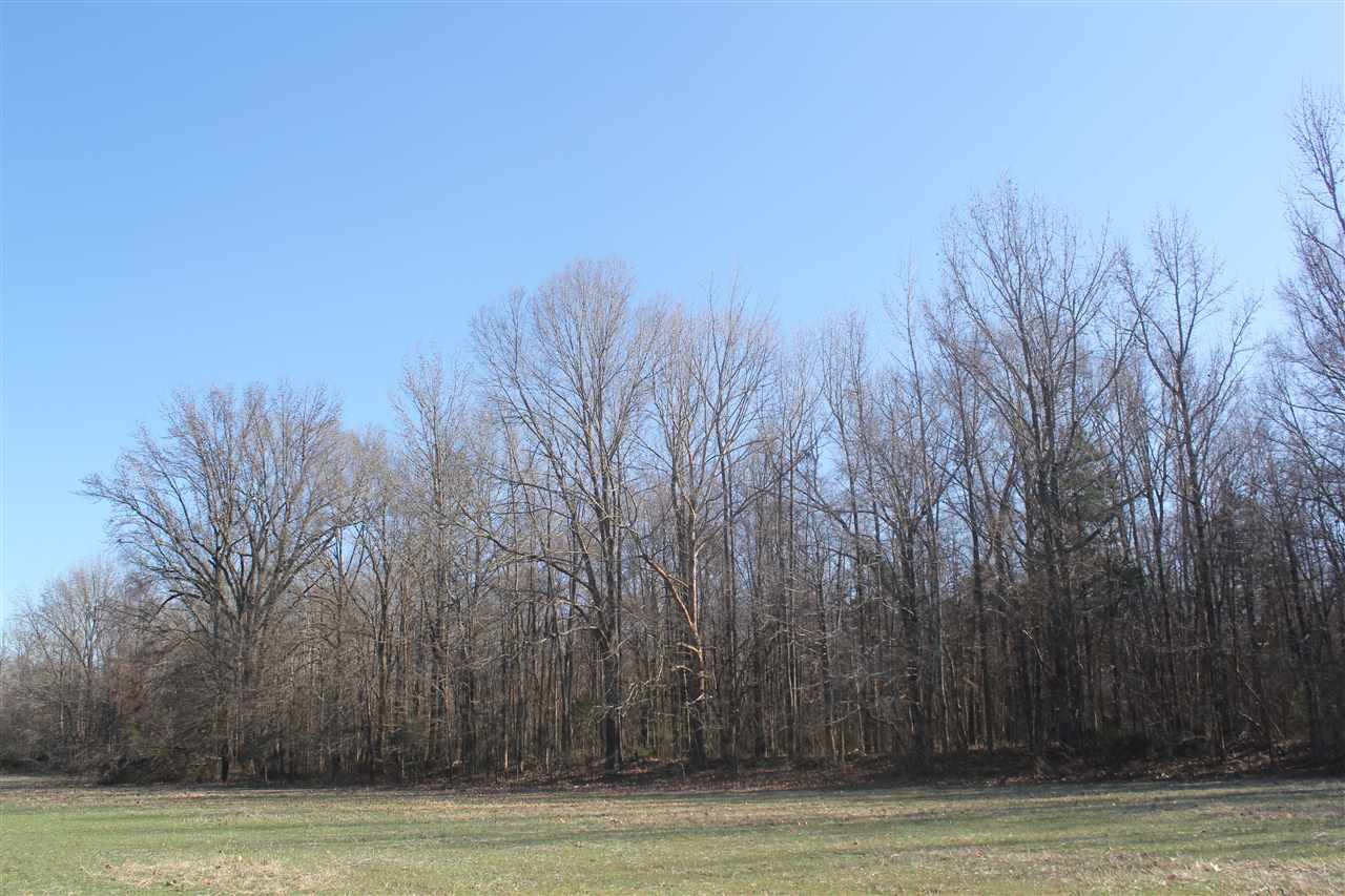 6014 Hernando Road Byhalia, MS 38611 - Photo 25 of 25 Gallery Image 25