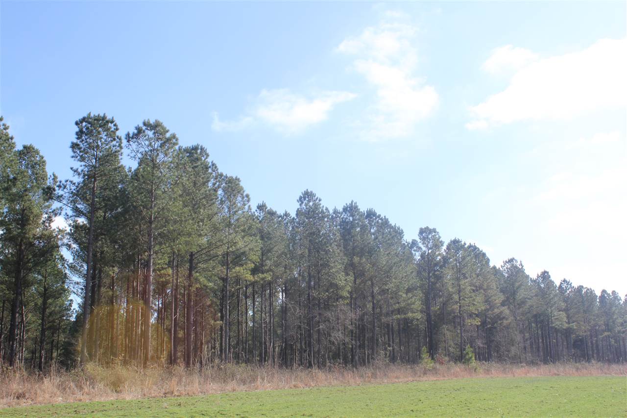 6014 Hernando Road Byhalia, MS 38611 - Photo 5 of 25 Gallery Image 5