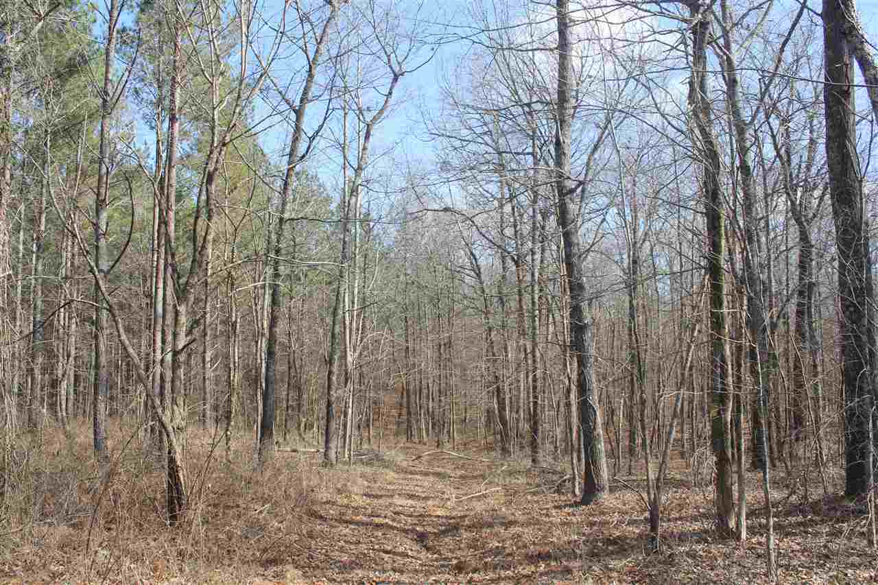 6014 Hernando Road Byhalia, MS 38611 - Photo 7 of 25 Gallery Image 7