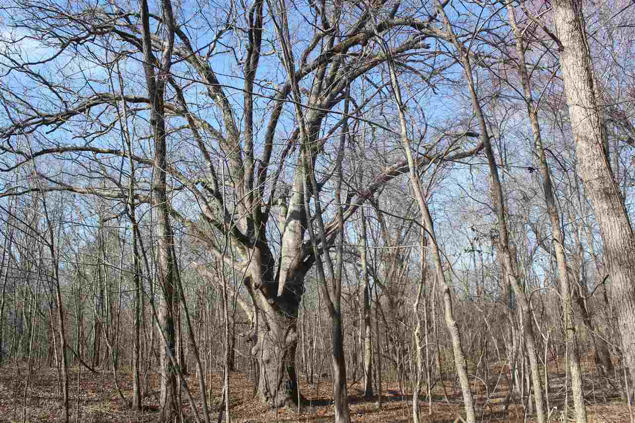 6014 Hernando Road Byhalia, MS 38611 - Photo 9 of 25 Gallery Image 9