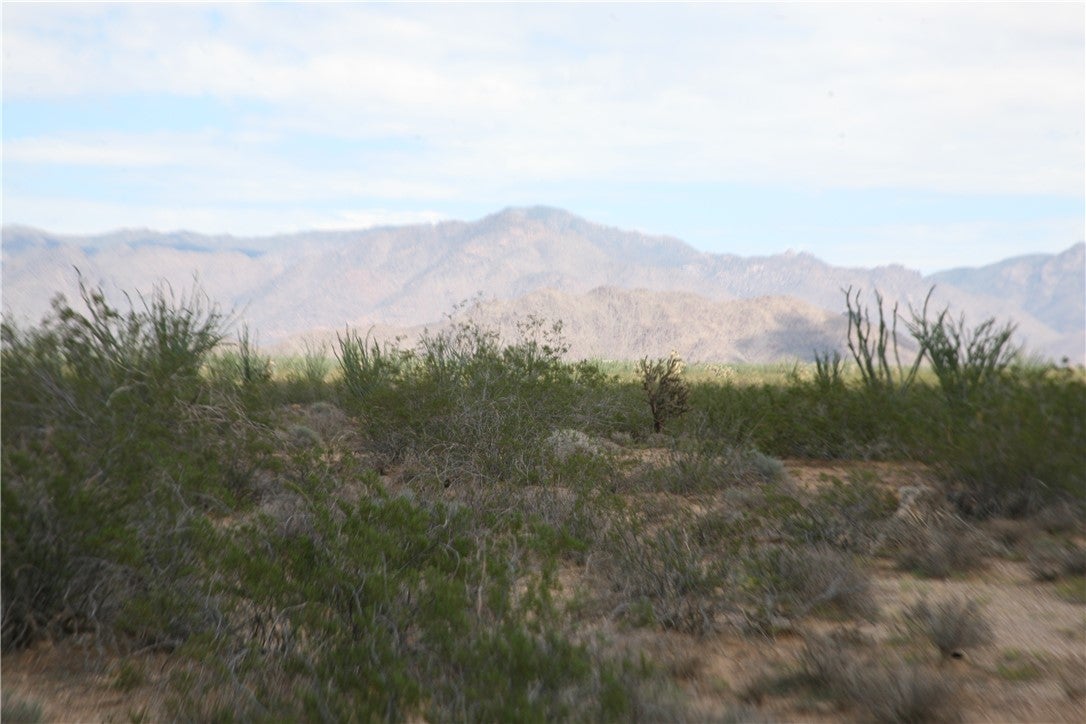243-15-016 South Custer Road, Unit 3491 Yucca, AZ 86438 - Photo 59 of 61 Gallery Image 59