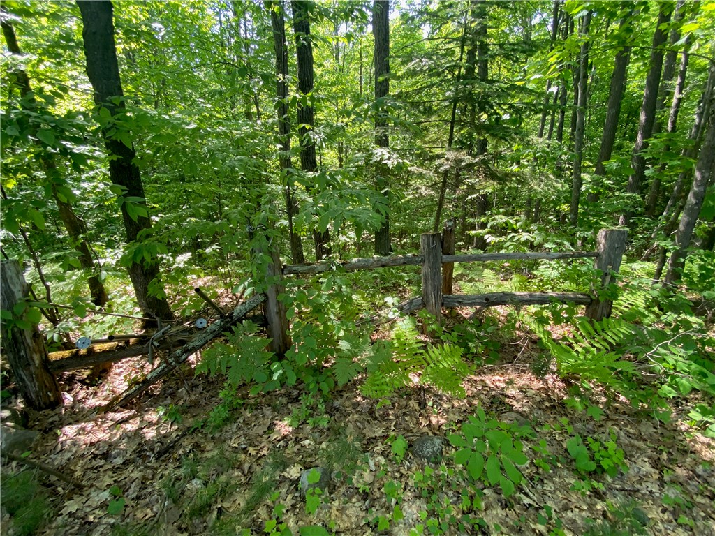 Lot 7 Secluded Trail Hayward, WI 54843 - Photo 13 of 41