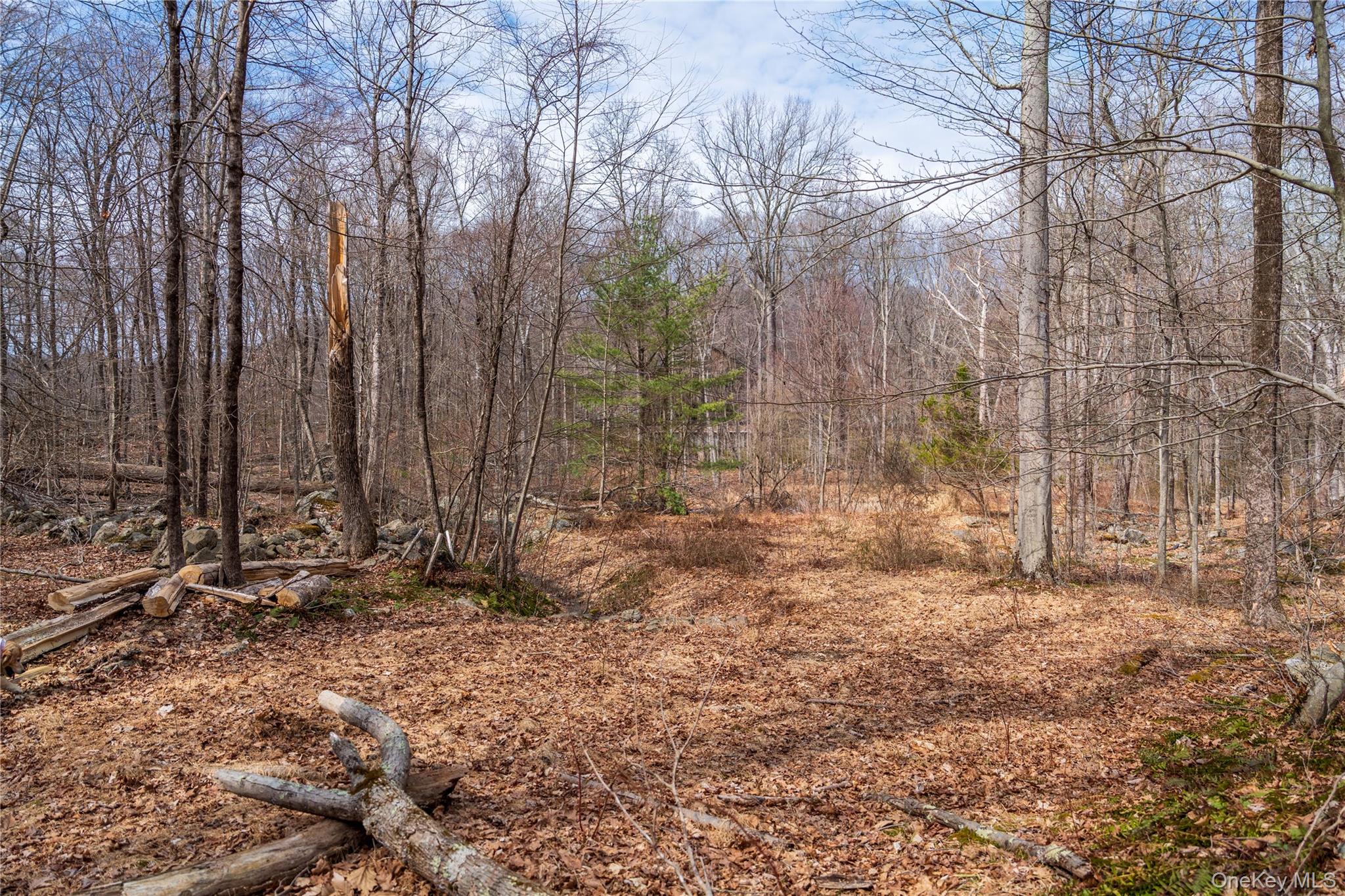 22 Joshua Hobby Lane Pound Ridge, NY 10576 - Photo 11 of 19 a view of a yard with trees in the background