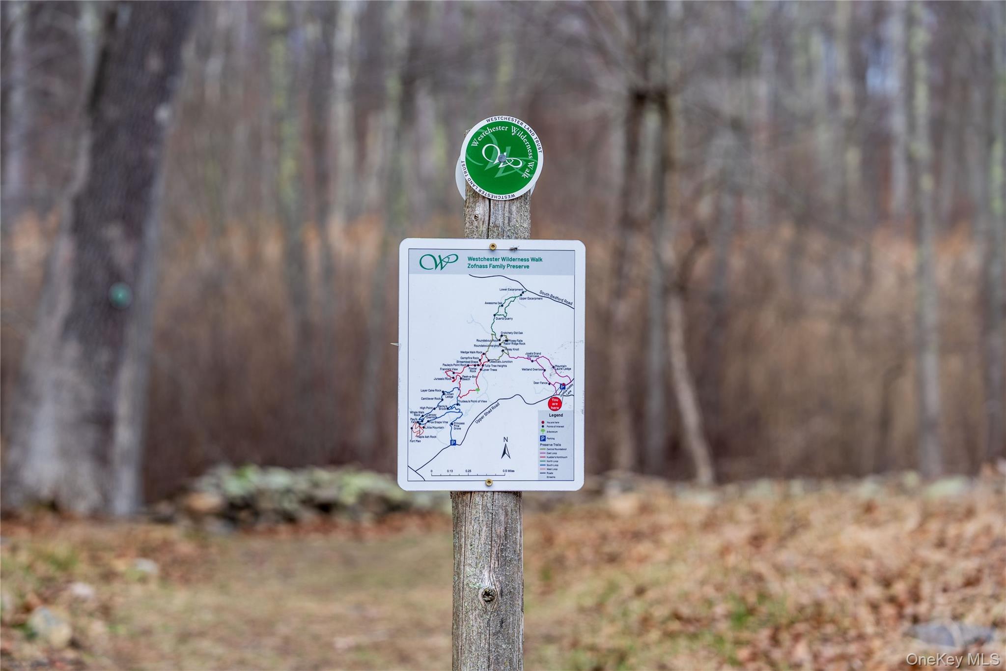 22 Joshua Hobby Lane Pound Ridge, NY 10576 - Photo 17 of 19